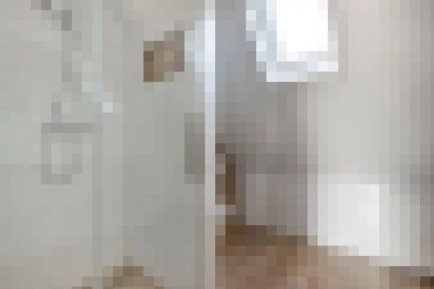 Veentien 28 Meppel thumbnail 33