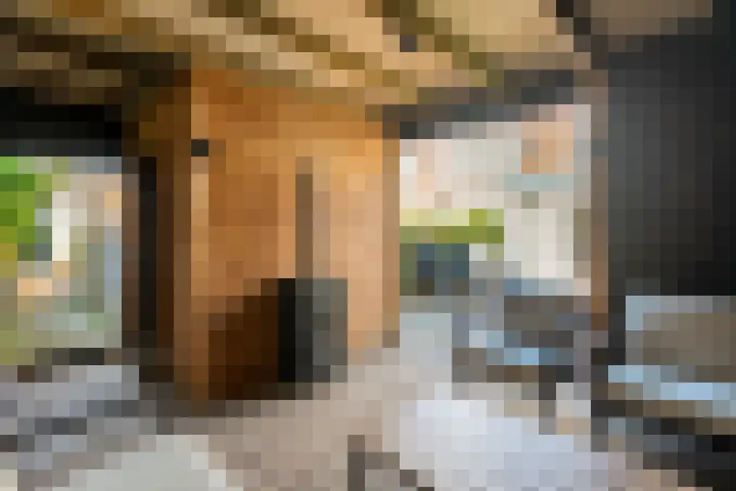 Veentien 28 Meppel thumbnail 44