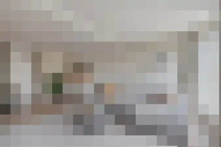 Veentien 30 Meppel thumbnail 6