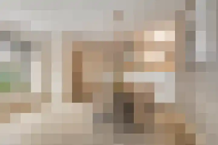 Veentjesweg 27 Diever thumbnail 10