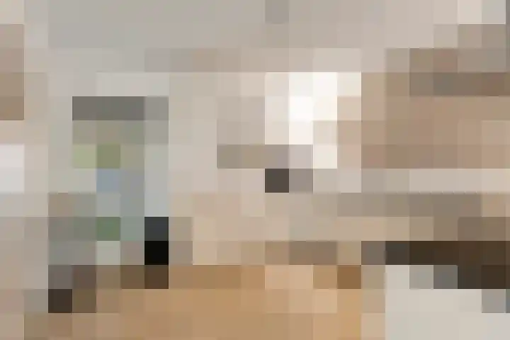 Veentjesweg 27 Diever thumbnail 11