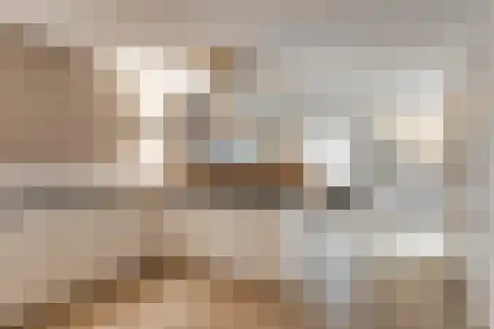 Veentjesweg 27 Diever thumbnail 13