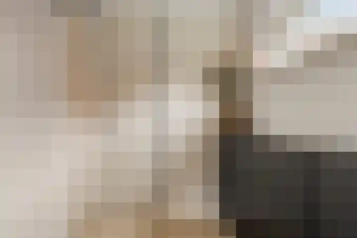 Veentjesweg 27 Diever thumbnail 14