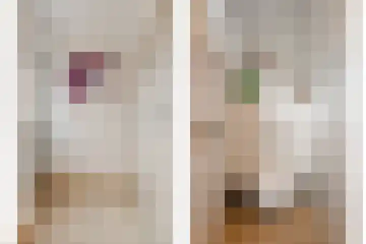 Veentjesweg 27 Diever thumbnail 15
