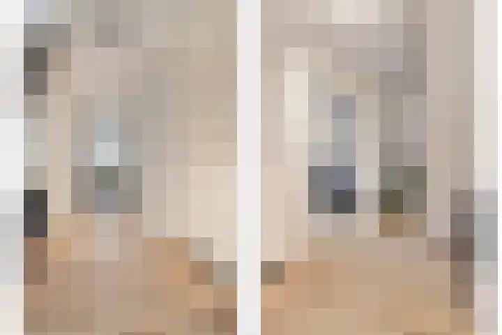 Veentjesweg 27 Diever thumbnail 16