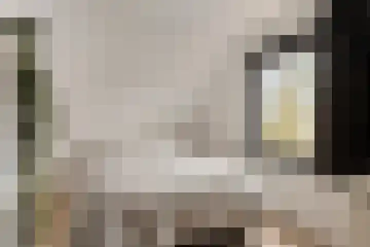 Veentjesweg 27 Diever thumbnail 17