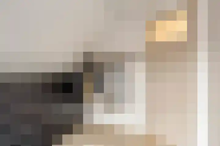 Veentjesweg 27 Diever thumbnail 20