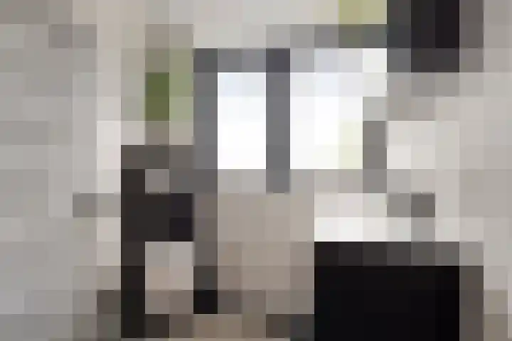 Veentjesweg 27 Diever thumbnail 21