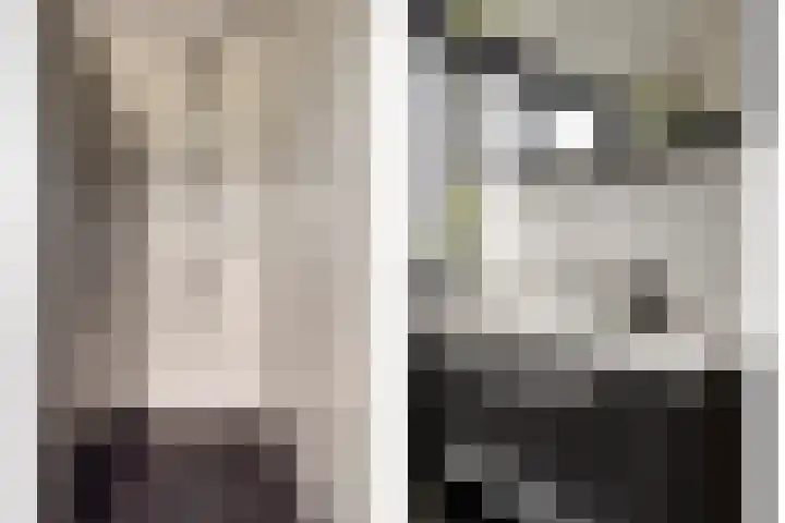 Veentjesweg 27 Diever thumbnail 22