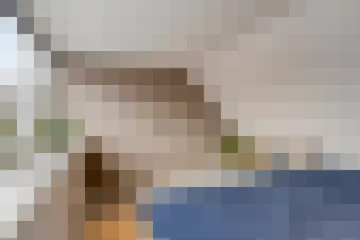 Veentjesweg 27 Diever thumbnail 24