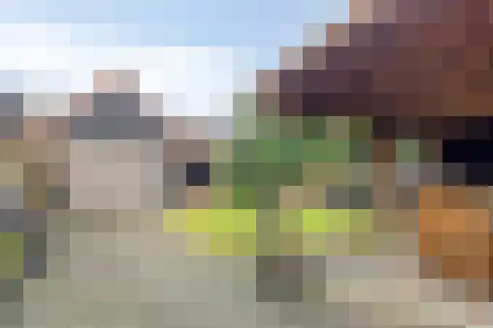 Veentjesweg 27 Diever thumbnail 28