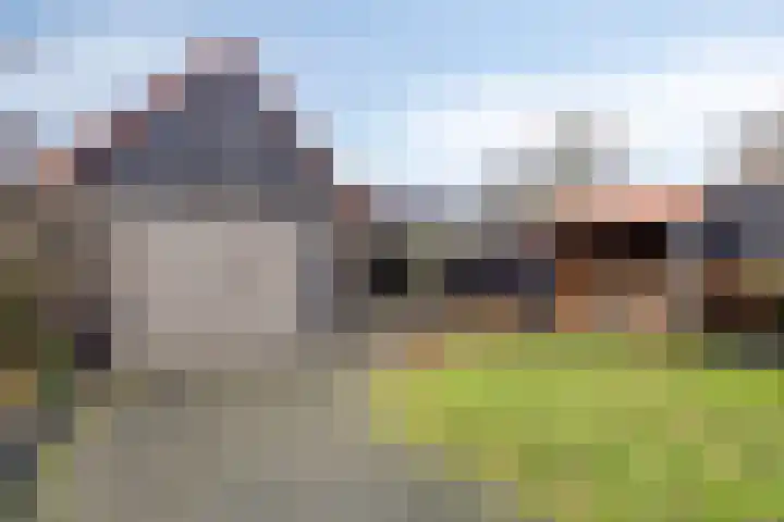 Veentjesweg 27 Diever thumbnail 29
