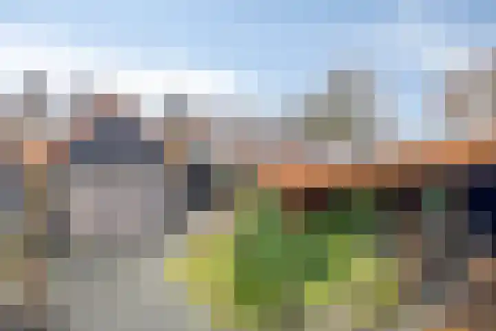 Veentjesweg 27 Diever thumbnail 30