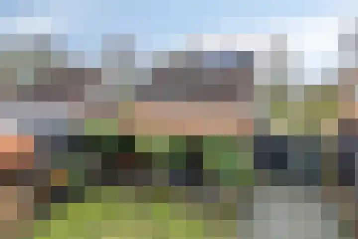 Veentjesweg 27 Diever thumbnail 31