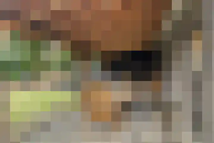 Veentjesweg 27 Diever thumbnail 32