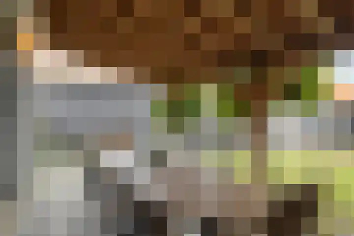 Veentjesweg 27 Diever thumbnail 33