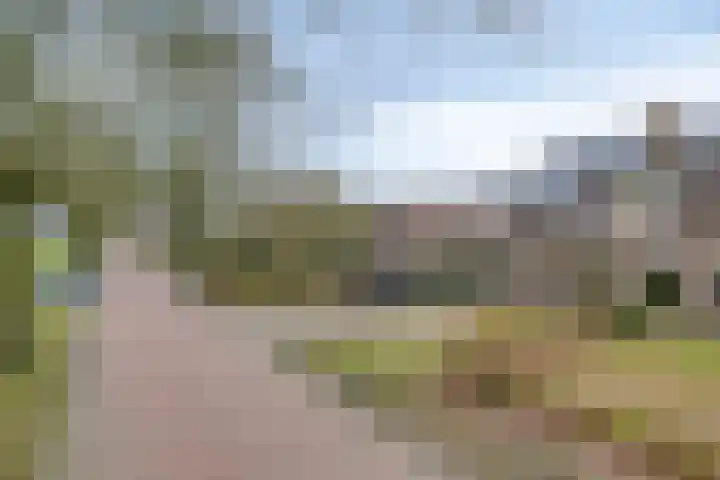 Veentjesweg 27 Diever thumbnail 35