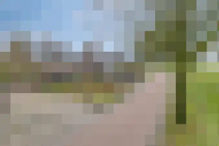 Veentjesweg 27 Diever thumbnail 36
