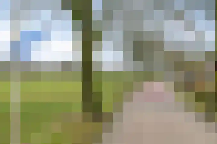 Veentjesweg 27 Diever thumbnail 37
