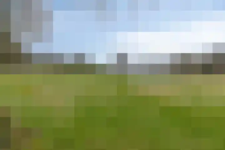 Veentjesweg 27 Diever thumbnail 38