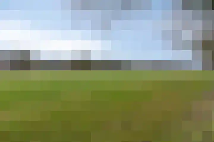 Veentjesweg 27 Diever thumbnail 39