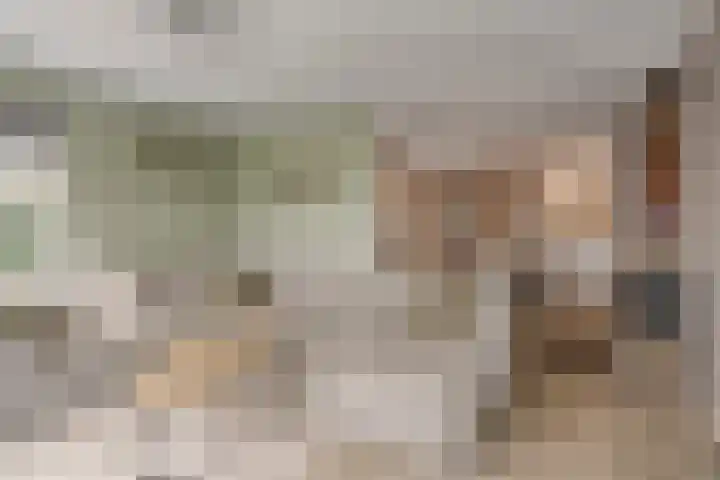 Veentjesweg 27 Diever thumbnail 4