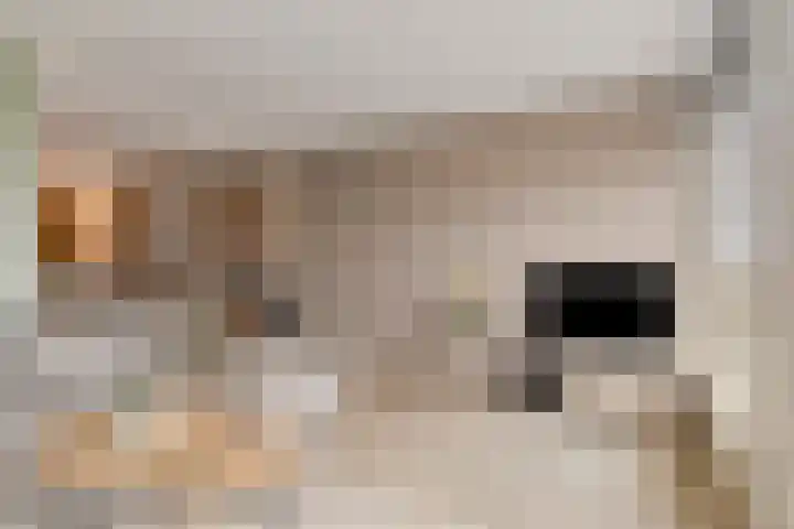 Veentjesweg 27 Diever thumbnail 5