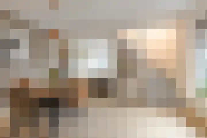 Veentjesweg 27 Diever thumbnail 7