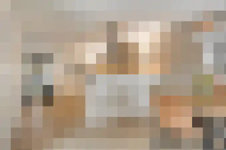 Veentjesweg 27 Diever thumbnail 8