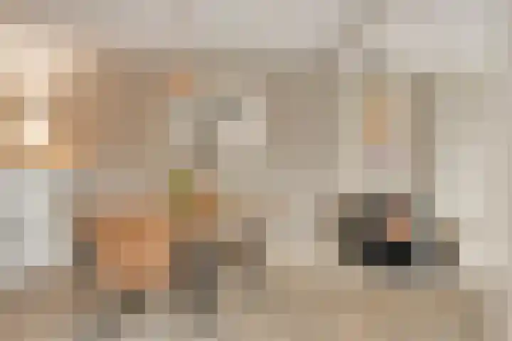 Veentjesweg 27 Diever thumbnail 9