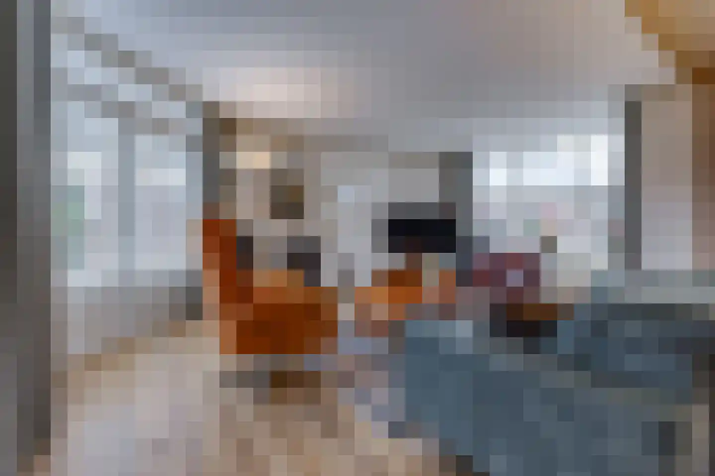 Veentuinen 55 Sellingen thumbnail 10