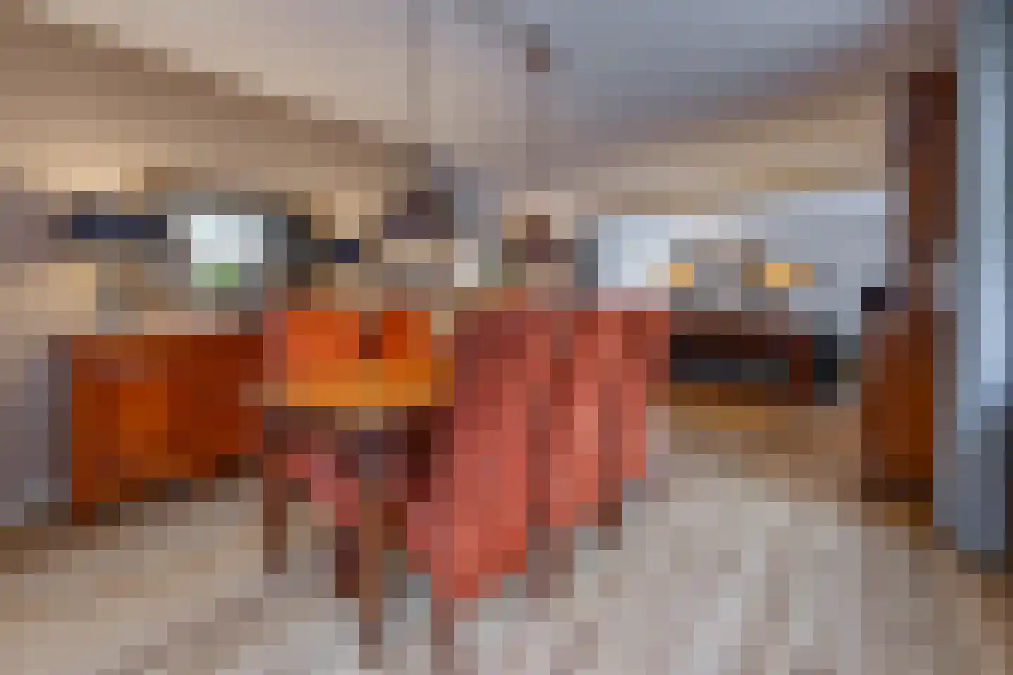 Veentuinen 55 Sellingen thumbnail 15