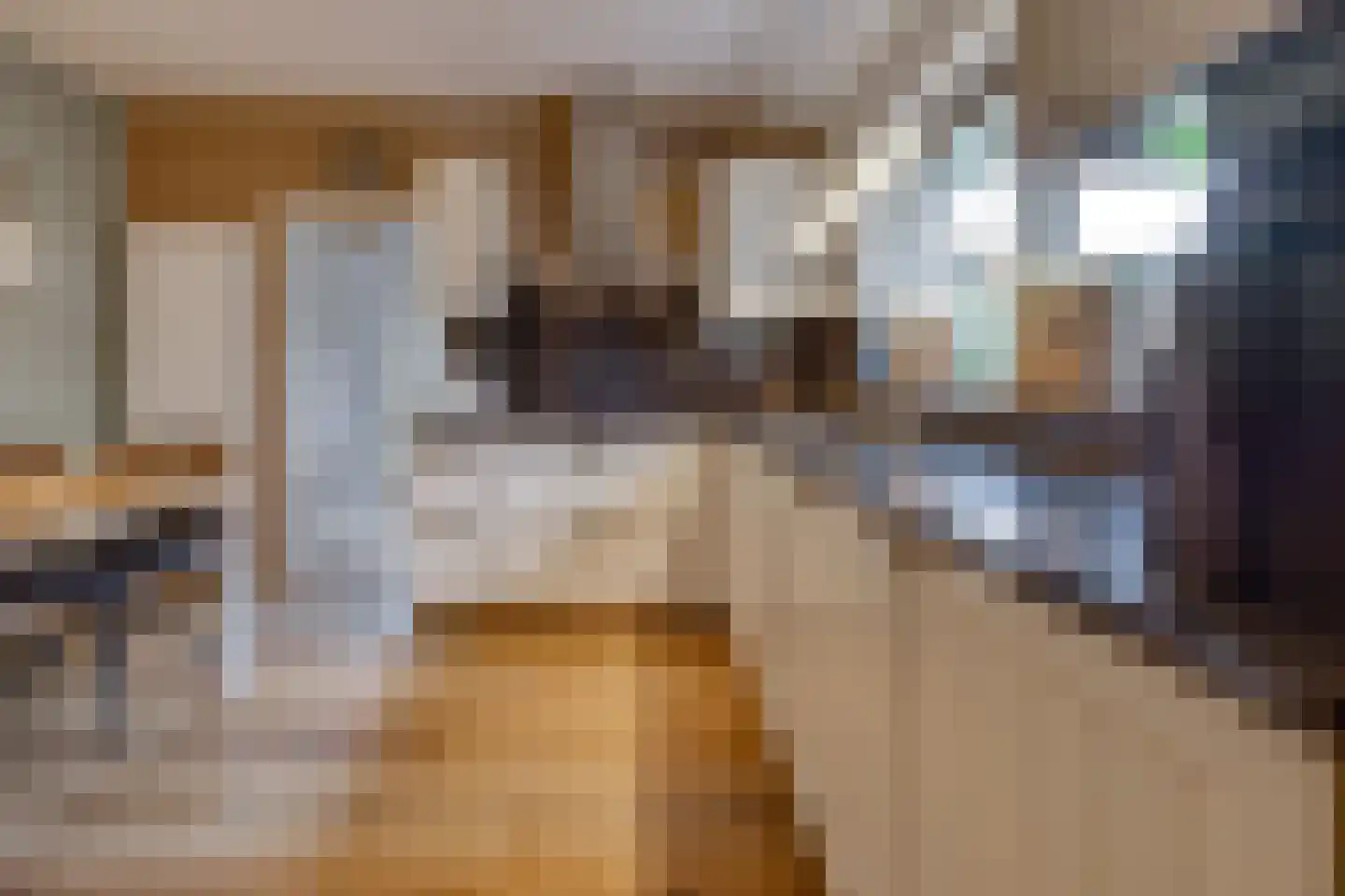 Veentuinen 55 Sellingen thumbnail 18