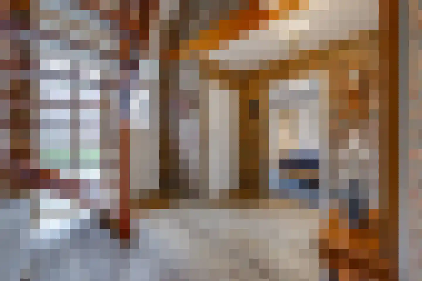 Veentuinen 55 Sellingen thumbnail 22