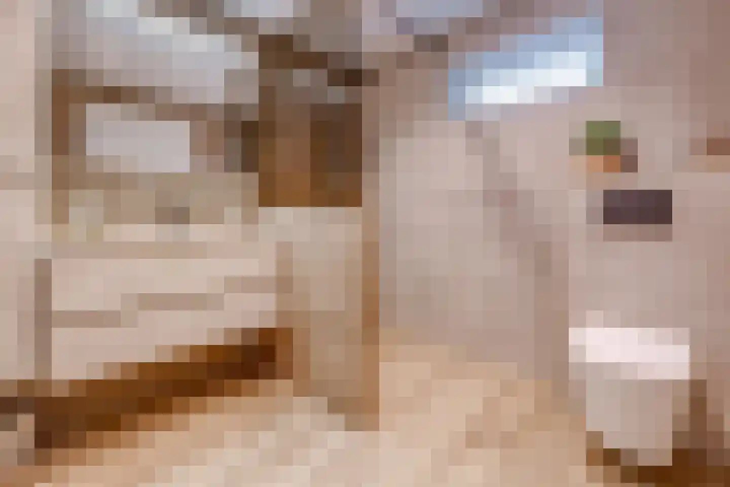 Veentuinen 55 Sellingen thumbnail 28