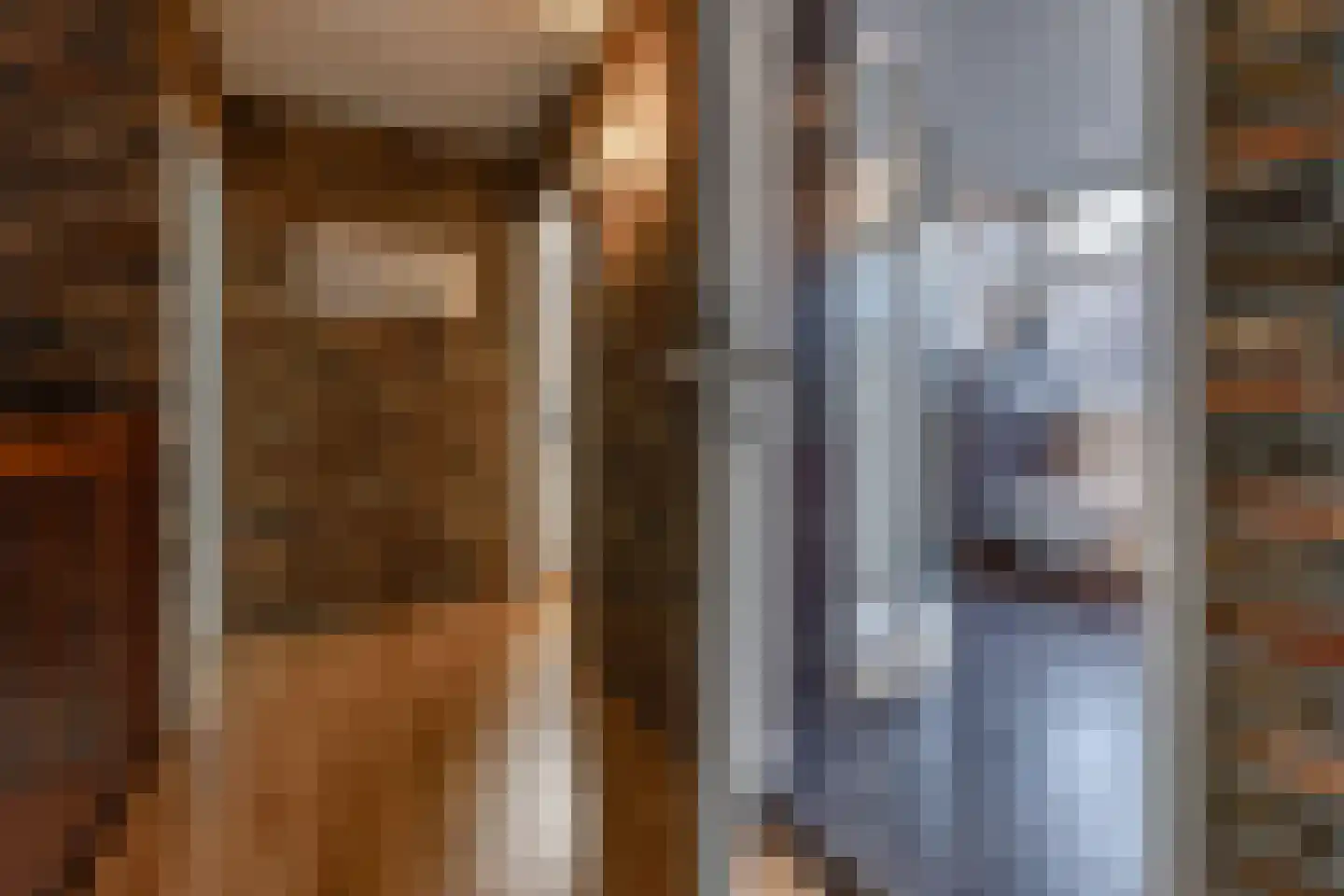 Veentuinen 55 Sellingen thumbnail 34