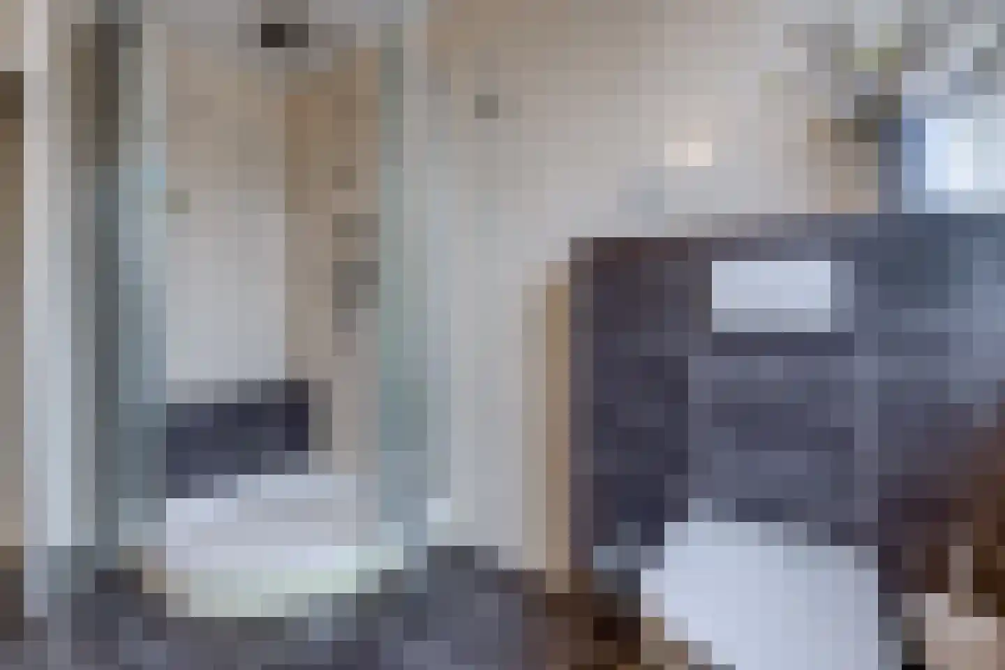 Veentuinen 55 Sellingen thumbnail 37