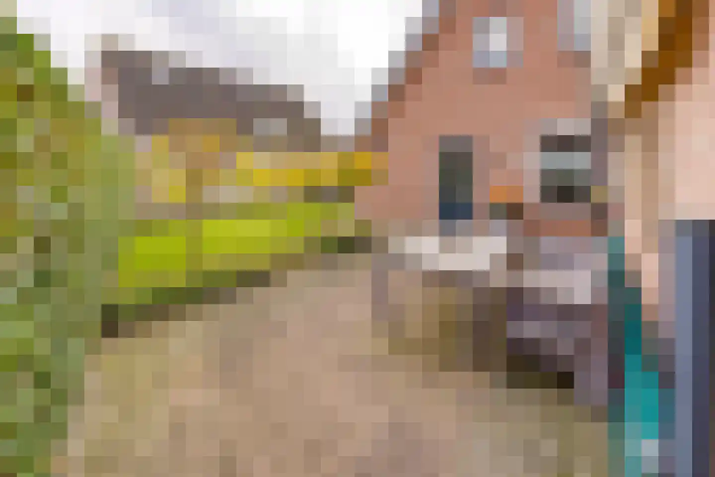 Veentuinen 55 Sellingen thumbnail 50