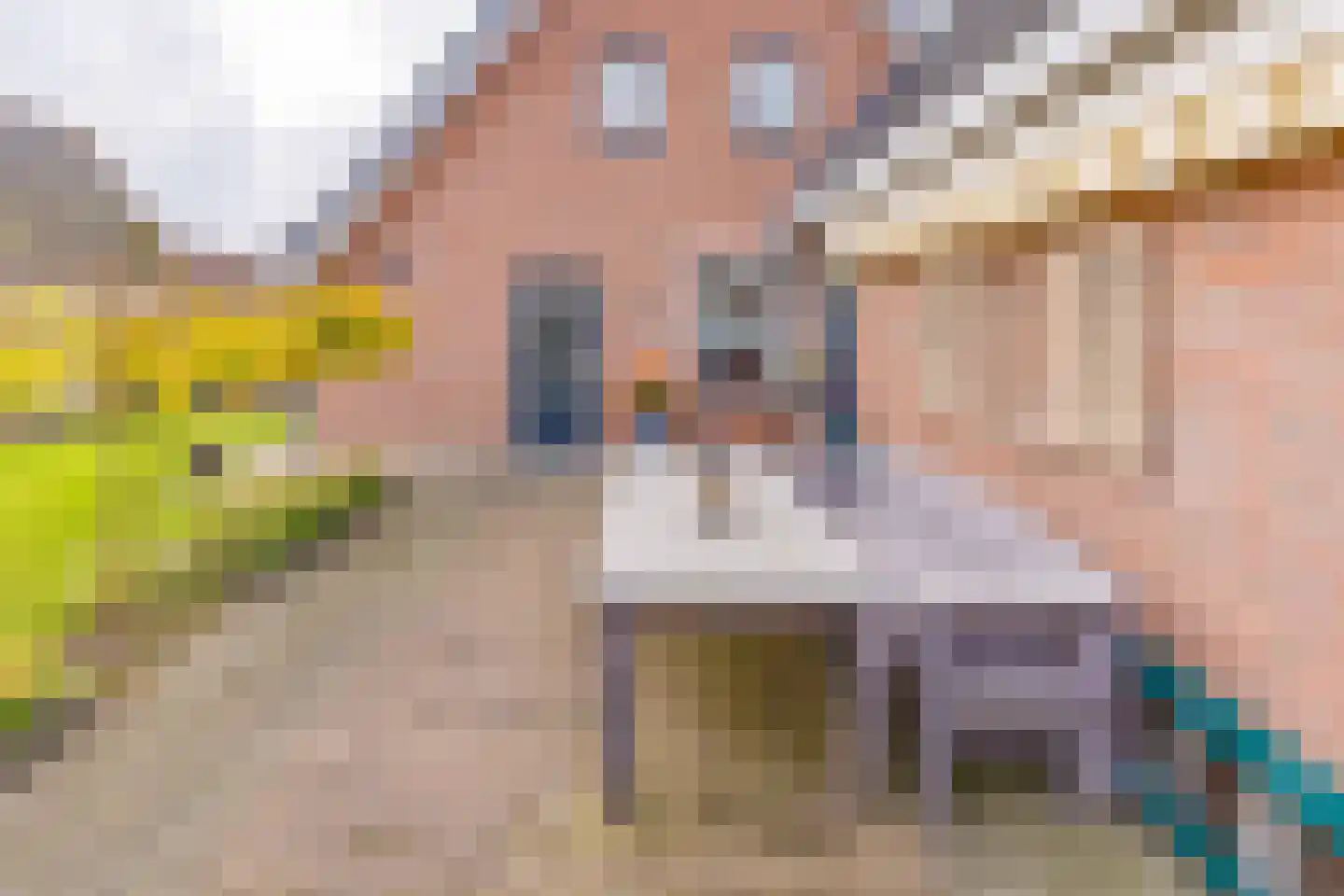 Veentuinen 55 Sellingen thumbnail 51