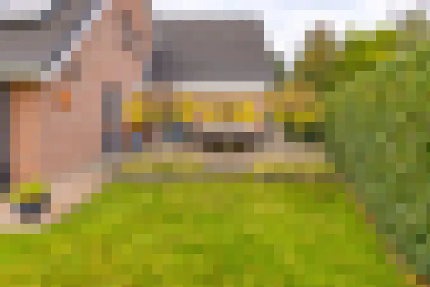 Veentuinen 55 Sellingen thumbnail 53