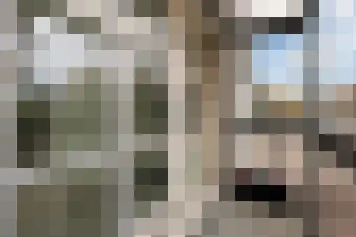Veenwal 132 Nieuwegein thumbnail 25