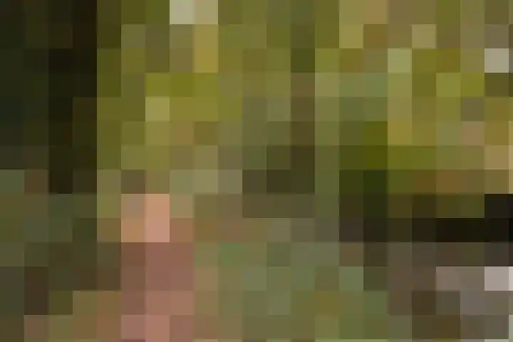 Veenwal 132 Nieuwegein thumbnail 30