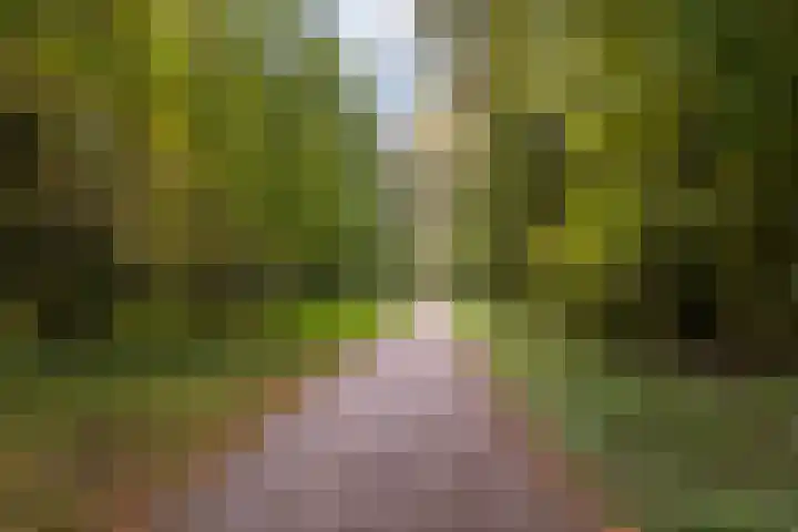 Veenwal 132 Nieuwegein thumbnail 31