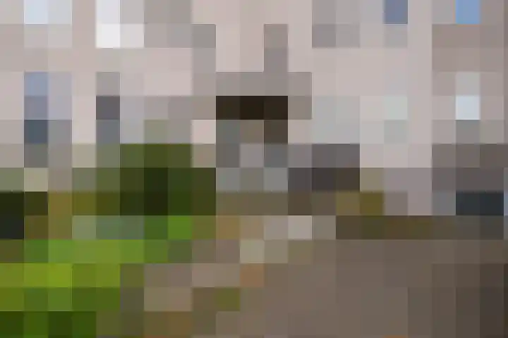 Veenwal 132 Nieuwegein thumbnail 6