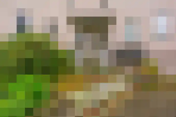 Veenwal 142 Nieuwegein thumbnail 16