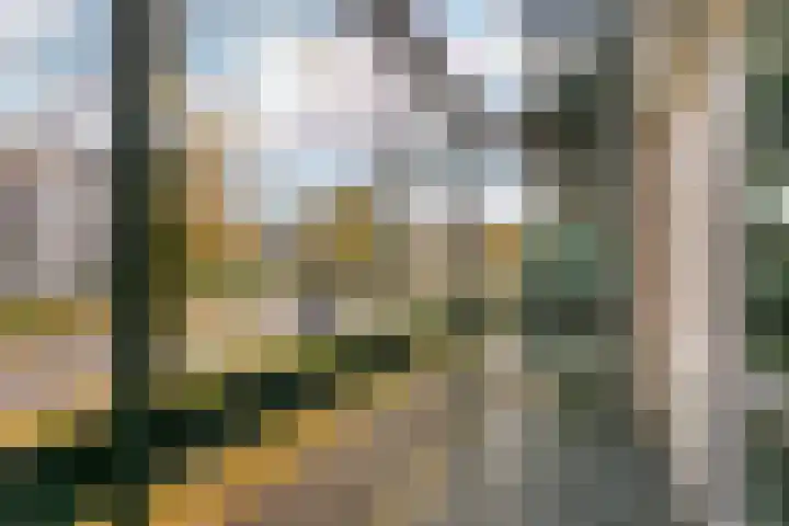 Veenwal 142 Nieuwegein thumbnail 8