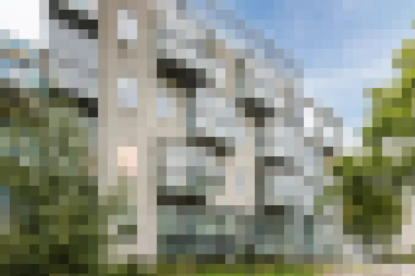 Veenwal 150 Nieuwegein thumbnail 41