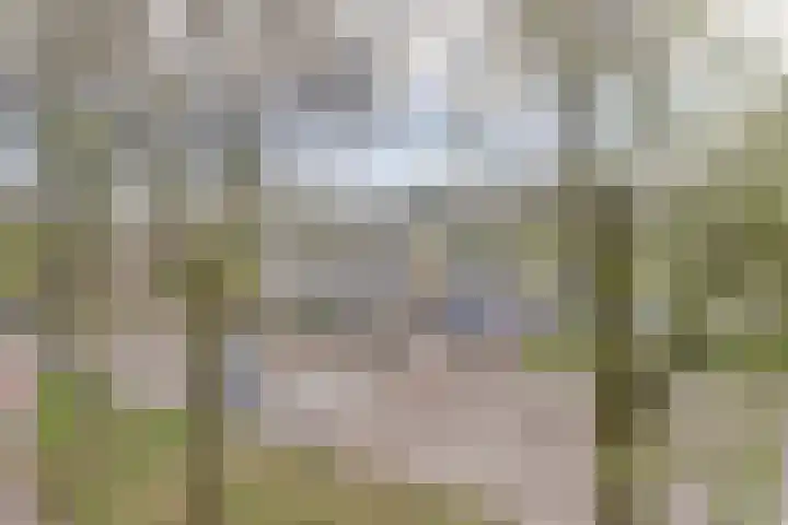 Veenwal 156 Nieuwegein thumbnail 25