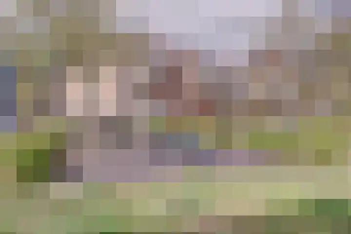 Veenwal 156 Nieuwegein thumbnail 27