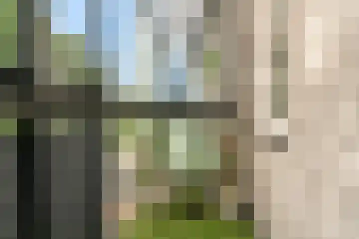 Veenwal 174 Nieuwegein thumbnail 18